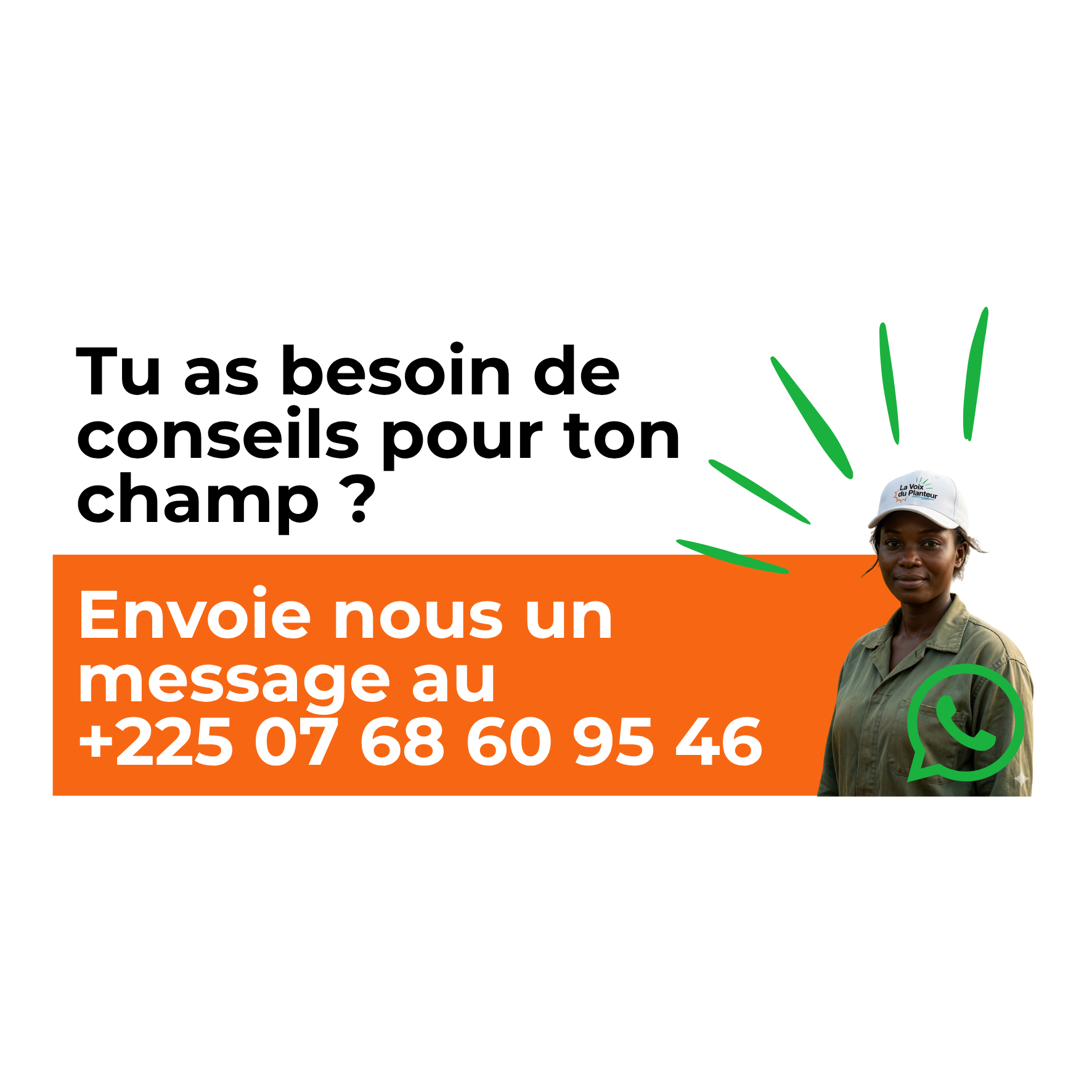 Aïcha — Agronome virtuel sur WhatsApp