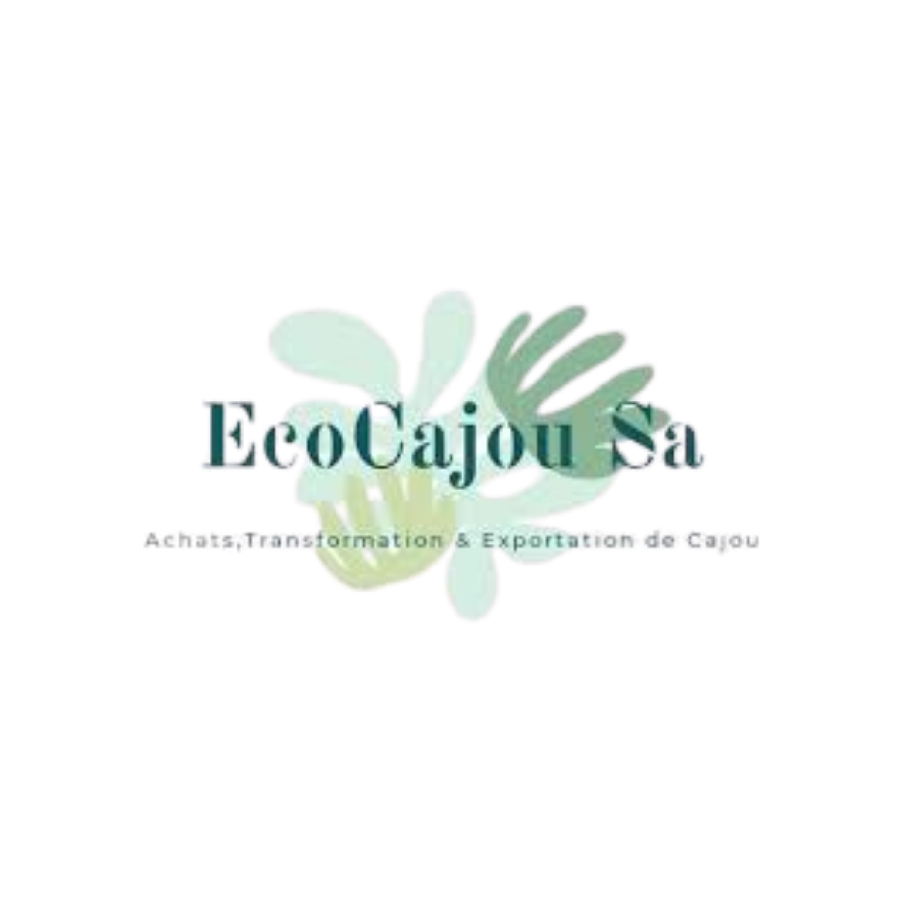 ECOCAJOU