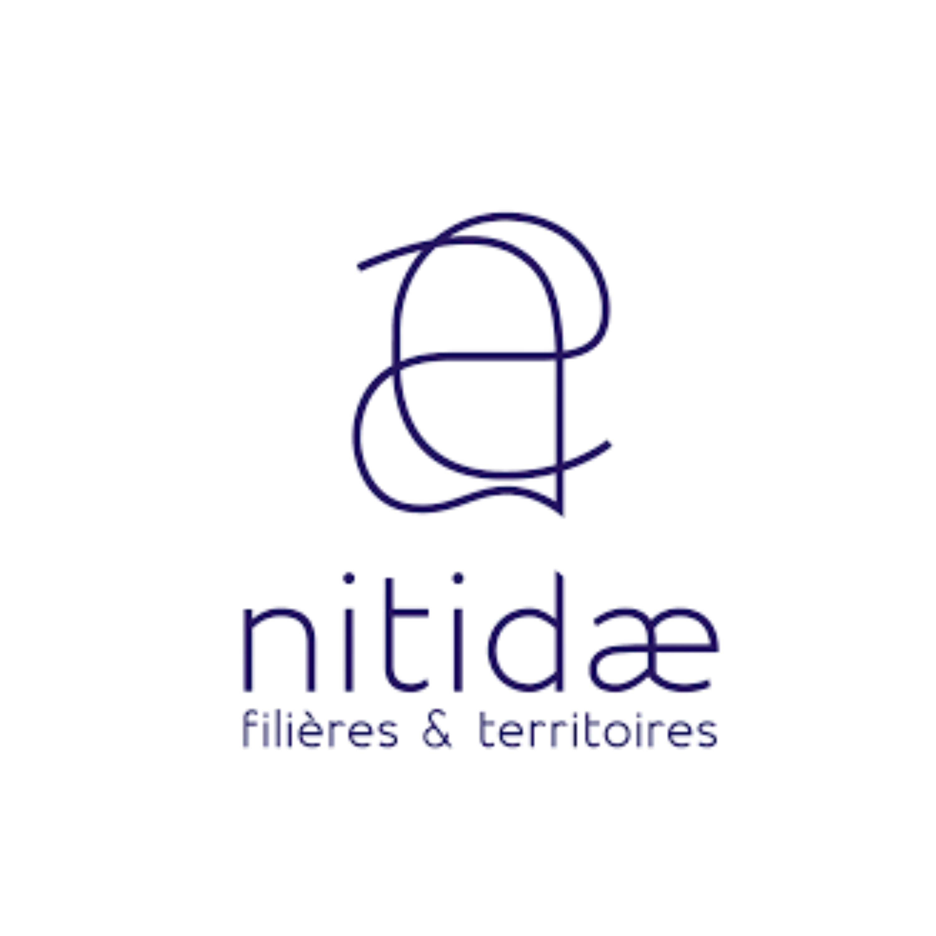 Nitidae